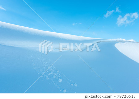 Snow modeling (Tottori Sand Dunes) Snow modeling (Tottori Sand Dunes) 79720515