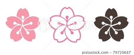 Sakura Japanese Flower Icon Graphic Vector Sakura Japanese Flower Icon Graphic Vector 79720687