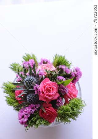 安排玫瑰 79722052