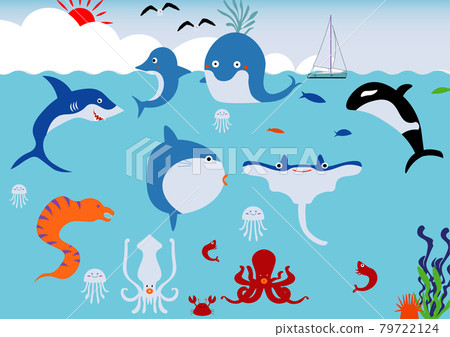 海生物 79722124