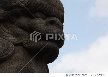 Komainu lion, Aun at Asakusa Shrine in the precincts of Sensoji Temple, Asakusa, Tokyo Komainu lion, Aun at Asakusa Shrine in the precincts of Sensoji Temple, Asakusa, Tokyo 79722995
