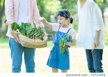 Family farming experience Parent-child family image 79723956