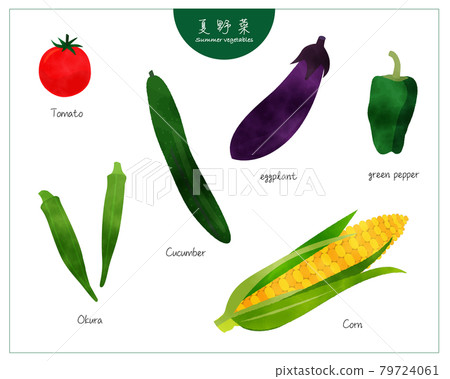 簡約夏日蔬菜套裝/手繪水彩/園藝 79724061