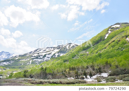 Early summer Tsugaike nature park 79724290