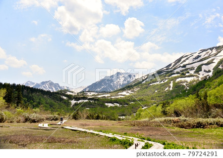 A magnificent view of Tsugaike Natural Garden in early summer 79724291