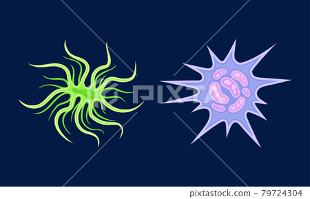 Bacteria as Biological Cell and Prokaryotic Microorganism Vector Set 79724304