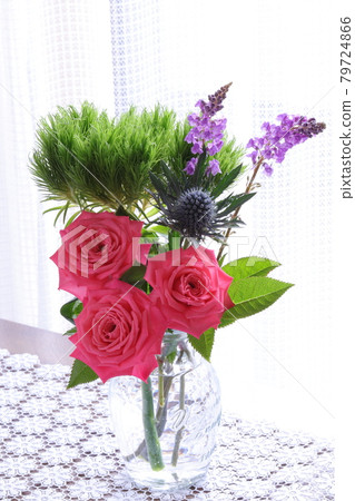 安排玫瑰 79724866