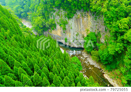 The clear stream of the Okudake River flowing through the fresh green 79725055