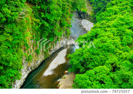 The clear stream of the Okudake River flowing through the fresh green The clear stream of the Okudake River flowing through the fresh green 79725057