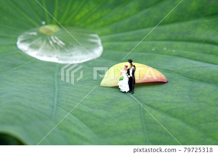 Bridal image on lotus leaves Bridal image on lotus leaves 79725318