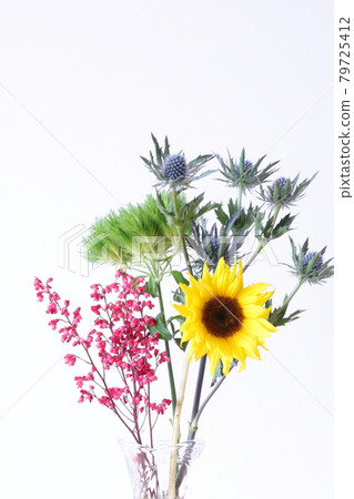 Life with flowers 79725412