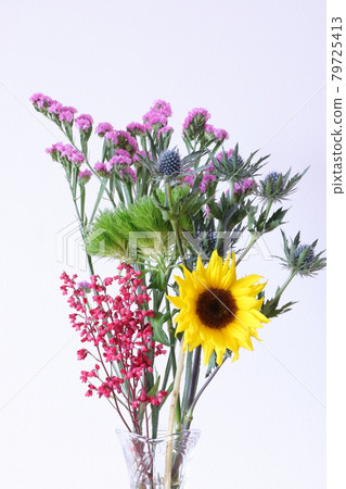 生活與鮮花 79725413