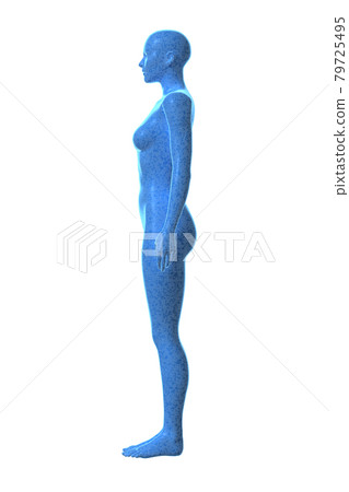 女性的身體身體3d 女性的身體身體3d 79725495