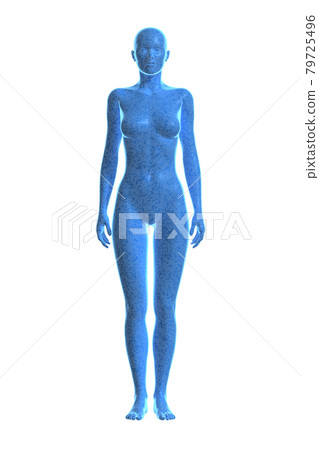 女性的身體身體3d 女性的身體身體3d 79725496