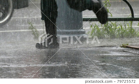 游擊隊雷陣雨 79725572