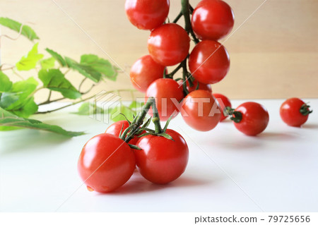 Cherry tomatoes with branches 79725656