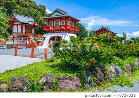 Hibiscus and Ryugu Shrine 79727321