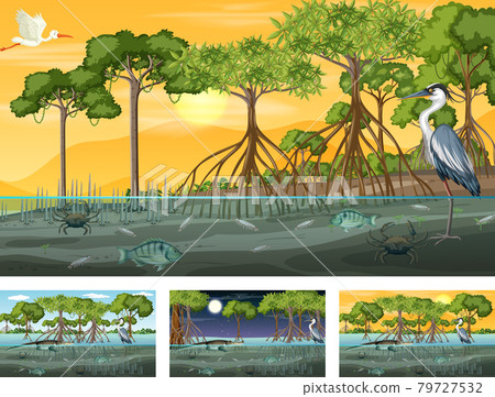 Different mangrove forest landscape scenes with animals 79727532