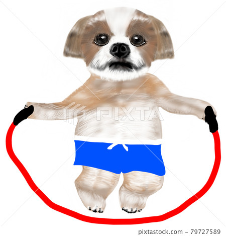 一隻想跳繩和節食的狗 一隻想跳繩和節食的狗 79727589