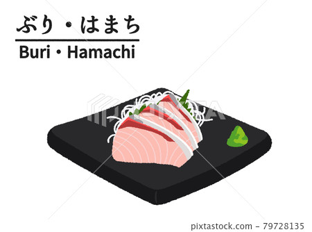 鰤魚和hamachi 生魚片的插圖 鰤魚和hamachi 生魚片的插圖 79728135
