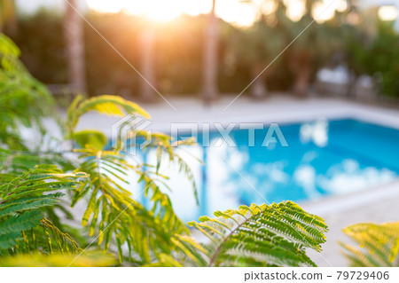 Blur beautiful nature green palm leaf on tropical private swimming pool with bokeh sunset light abstract background. Copy space of summer vacation and business travel concept Blur beautiful nature green palm leaf on tropical private swimming pool with bokeh sunset light abstract background. Copy space of summer vacation and business travel concept 79729406