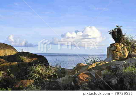 奄美大島海和夏雲 79729555