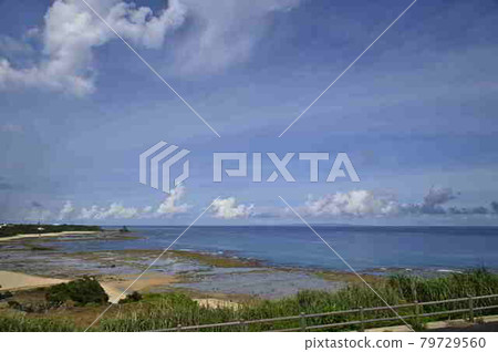 奄美大島海和夏雲 奄美大島海和夏雲 79729560