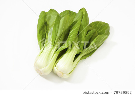 Bok-choy 79729892