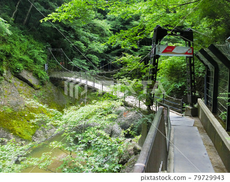 Japan's Three Famous Waterfalls Fukuroda Falls (Fukuroda, Daigo-cho, Kuji-gun, Ibaraki Prefecture) Early summer Japan's Three Famous Waterfalls Fukuroda Falls (Fukuroda, Daigo-cho, Kuji-gun, Ibaraki Prefecture) Early summer 79729943