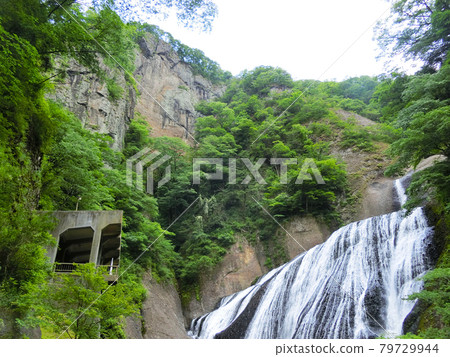Japan's Three Famous Waterfalls Fukuroda Falls (Fukuroda, Daigo-cho, Kuji-gun, Ibaraki Prefecture) Early summer Japan's Three Famous Waterfalls Fukuroda Falls (Fukuroda, Daigo-cho, Kuji-gun, Ibaraki Prefecture) Early summer 79729944