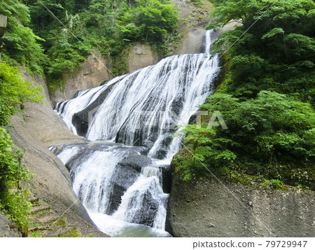 Japan's Three Famous Waterfalls Fukuroda Falls (Fukuroda, Daigo-cho, Kuji-gun, Ibaraki Prefecture) Early summer Japan's Three Famous Waterfalls Fukuroda Falls (Fukuroda, Daigo-cho, Kuji-gun, Ibaraki Prefecture) Early summer 79729947