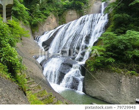 Japan's Three Famous Waterfalls Fukuroda Falls (Fukuroda, Daigo-cho, Kuji-gun, Ibaraki Prefecture) Early summer Japan's Three Famous Waterfalls Fukuroda Falls (Fukuroda, Daigo-cho, Kuji-gun, Ibaraki Prefecture) Early summer 79729948