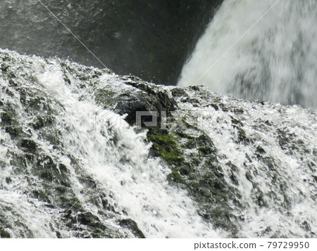 日本三大名瀑 袋田瀑布（茨城縣久治郡大悟町袋田） 初夏 79729950