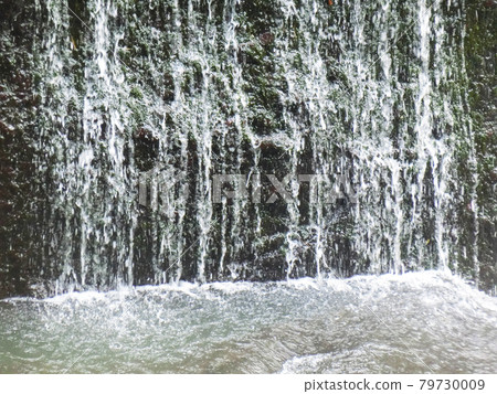 Japan's Three Famous Waterfalls Fukuroda Falls (Fukuroda, Daigo-cho, Kuji-gun, Ibaraki Prefecture) Early summer 79730009