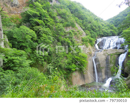 Japan's Three Famous Waterfalls Fukuroda Falls (Fukuroda, Daigo-cho, Kuji-gun, Ibaraki Prefecture) Early summer 79730010