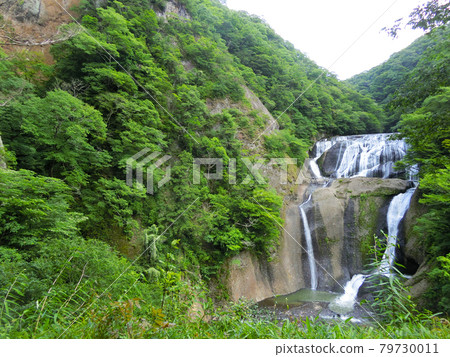 Japan's Three Famous Waterfalls Fukuroda Falls (Fukuroda, Daigo-cho, Kuji-gun, Ibaraki Prefecture) Early summer 79730011