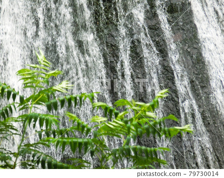 日本三大名瀑 袋田瀑布(茨城縣久治郡大悟町袋田) 初夏 日本三大名瀑 袋田瀑布(茨城縣久治郡大悟町袋田) 初夏 79730014