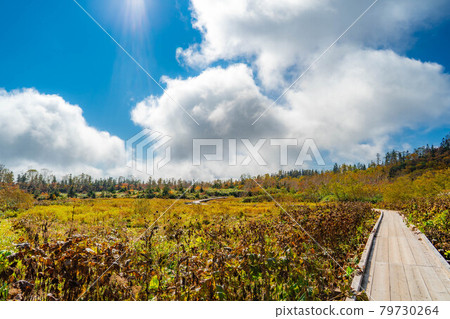 Autumn Tsugaike Natural Garden [Nagano Prefecture] 79730264