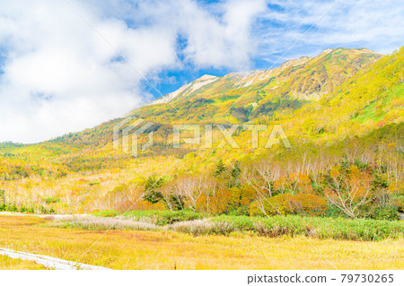 Autumn Tsugaike Natural Garden [Nagano Prefecture] 79730265
