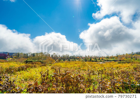 Autumn Tsugaike Natural Garden [Nagano Prefecture] 79730271