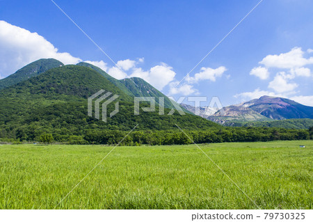 Tagayama Tadahara Marsh and Kuju Mountain 79730325