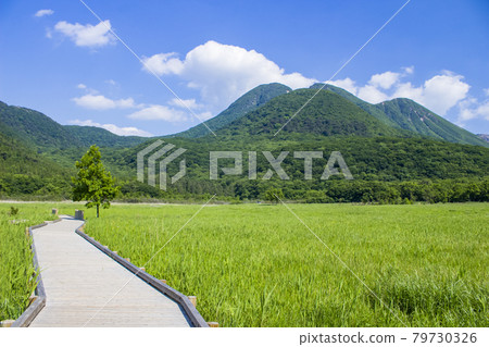 Tagayama Tadahara Marsh and Kuju Mountain Tagayama Tadahara Marsh and Kuju Mountain 79730326
