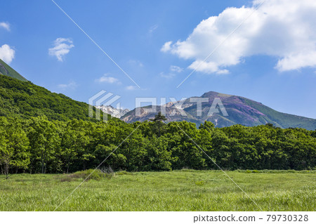 Tagayama Tadahara Marsh and Kuju Mountain 79730328