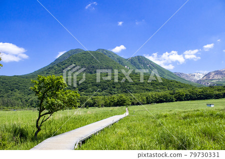 Tagayama Tadahara沼澤和Kuju山 Tagayama Tadahara沼澤和Kuju山 79730331