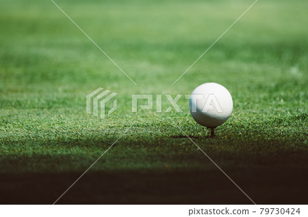 Golf ball on grass Golf ball on grass 79730424