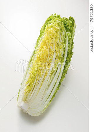 小白菜 79731320