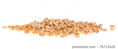 Wheat grain 79731626