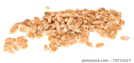 Grain on white 79731627