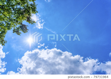 Summer sky Yokohama 79731964