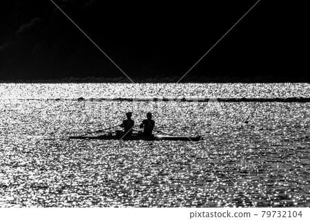 Silhouette double scull regatta Silhouette double scull regatta 79732104